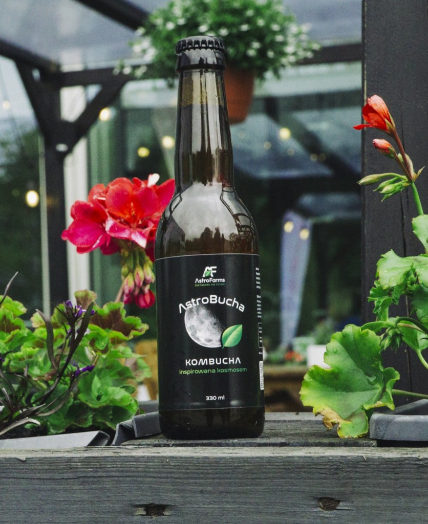 Elegant kombucha bottle in warm light